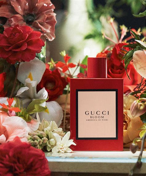 gucci bloom aqua di fiore|gucci bloom ambrosia di fiori.